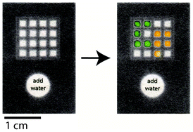 Graphical abstract: Paper and toner three-dimensional fluidic devices: programming fluid flow to improve point-of-care diagnostics