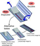 Graphical abstract: Kit-On-A-Lid-Assays for accessible self-contained cell assays