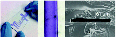 Graphical abstract: Pen microfluidics: rapid desktop manufacturing of sealed thermoplastic microchannels