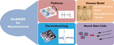 Graphical abstract: Advances in microfluidics-based experimental methods for neuroscience research