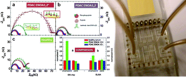 Graphical abstract: Towards pancreatic cancer diagnosis using EIS biochips