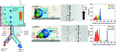 Graphical abstract: Enhanced separation of colloidal particles in an AsPFF device with a tilted sidewall and vertical focusing channels (t-AsPFF-v)