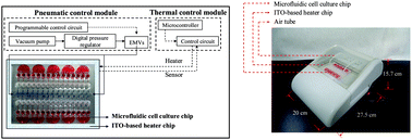 Graphical abstract: An integrated microfluidic cell culture system for high-throughput perfusion three-dimensional cell culture-based assays: effect of cell culture model on the results of chemosensitivity assays