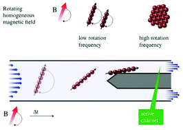 Graphical abstract: Continuous-flow particle guiding based on dipolar coupled magnetic superstructures in rotating magnetic fields