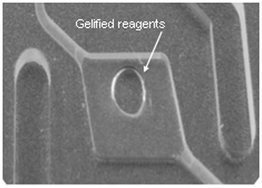 Graphical abstract: Pre-storage of gelified reagents in a lab-on-a-foil system for rapid nucleic acid analysis