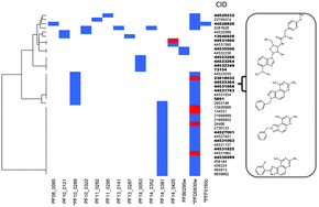 Graphical abstract: Mapping the genome of Plasmodium falciparum on the drug-like chemical space reveals novel anti-malarial targets and potential drug leads