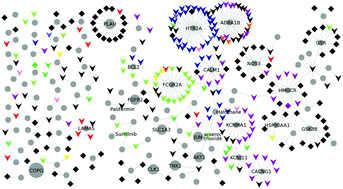 Graphical abstract: Genetic screens for the control of influenza virus replication: from meta-analysis to drug discovery