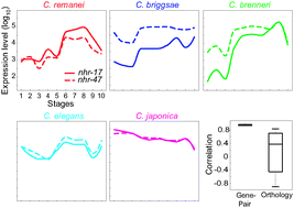 Graphical abstract: Identifying functional links between genes by evolutionary transcriptomics