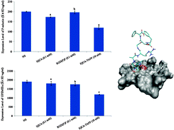 Graphical abstract: The application of tetrahydroisoquinoline-3-carbonyl-TARGD(F)F as an anti-thrombotic agent having dual mechanisms of action