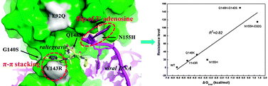 Graphical abstract: Understanding the effect of drug-resistant mutations of HIV-1 intasome on raltegravir action through molecular modeling study