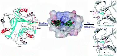 Graphical abstract: Understanding microscopic binding of macrophage migration inhibitory factor with phenolic hydrazones by molecular docking, molecular dynamics simulations and free energy calculations
