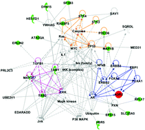 Graphical abstract: Proteomic study explores AGR2 as pro-metastatic protein in HCC