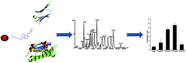 Graphical abstract: A chemical proteomics approach reveals Hsp27 as a target for proapoptotic clerodane diterpenes