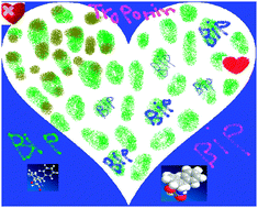 Graphical abstract: A cardiac tissue-specific binding agent of troponin I