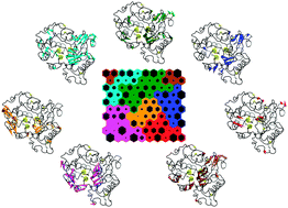 Graphical abstract: Functional annotation of the mesophilic-like character of mutants in a cold-adapted enzyme by self-organising map analysis of their molecular dynamics