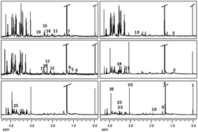 Graphical abstract: 1H NMR-based metabolomics exploring biomarkers in rat cerebrospinal fluid after cerebral ischemia/reperfusion