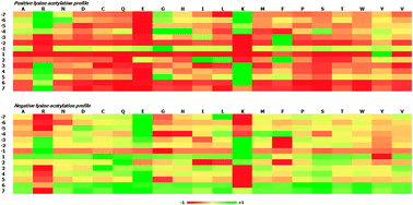 Graphical abstract: Systematic analysis of human lysine acetylation proteins and accurate prediction of human lysine acetylation through bi-relative adapted binomial score Bayes feature representation