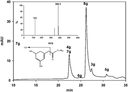 Graphical abstract: The Botrytis cinerea type III polyketide synthase shows unprecedented high catalytic efficiency toward long chain acyl-CoAs