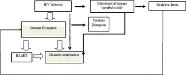 Graphical abstract: Metabonomic analysis of HIV-infected biofluids