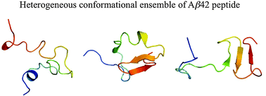 Graphical abstract: Structural heterogeneity in familial Alzheimer's disease mutants of amyloid-beta peptides