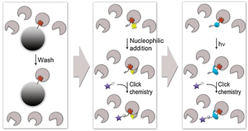 Graphical abstract: From noncovalent to covalent bonds: a paradigm shift in target protein identification