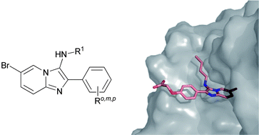 Graphical abstract: Synthesis, biological evaluation and X-ray crystallographic studies of imidazo[1,2-a]pyridine-based Mycobacterium tuberculosis glutamine synthetase inhibitors