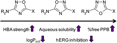 Graphical abstract: Oxadiazole isomers: all bioisosteres are not created equal