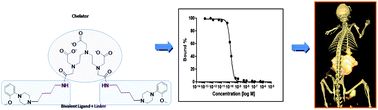 Graphical abstract: A homodimeric bivalent radioligand derived from 1-(2-methoxyphenyl)piperazine with high affinity for in vivo 5-HT1A receptor imaging