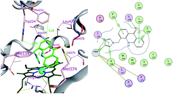 Graphical abstract: Synthesis and biological evaluation of imidazolylmethylacridones as cytochrome P-450 enzymes inhibitors