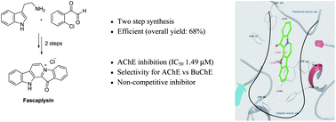 Graphical abstract: Total synthesis and anti-cholinesterase activity of marine-derived bis-indole alkaloid fascaplysin