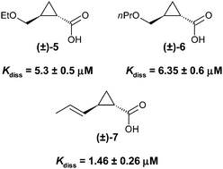 Graphical abstract: Design and synthesis of trans-2-substituted-cyclopropane-1-carboxylic acids as the first non-natural small molecule inhibitors of O-acetylserine sulfhydrylase