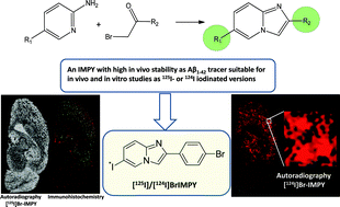 Graphical abstract: Development of an improved radioiodinated 2-phenylimidazo[1,2-a]pyridine for non-invasive imaging of amyloid plaques
