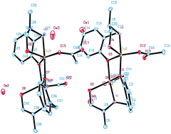 Graphical abstract: Design, synthesis and crystal structure determination of dinuclear copper-based potential chemotherapeutic drug entities; in vitro DNA binding, cleavage studies and an evaluation of genotoxicity by micronucleus test and comet assay