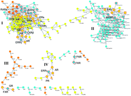 Graphical abstract: Navigations of chemical space to further the understanding of polypharmacology in human nuclear receptors