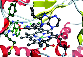 Graphical abstract: A monomeric form of iNOS can rationalise observed SAR for inhibitors of dimerisation: quantum mechanics and docking compared