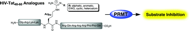Graphical abstract: Analogues of the HIV-Tat peptide containing Nη-modified arginines as potent inhibitors of protein arginine N-methyltransferases