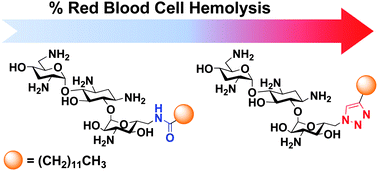 Graphical abstract: Design of membrane targeting tobramycin-based cationic amphiphiles with reduced hemolytic activity