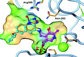 Graphical abstract: Discovery of hydroxamate bioisosteres as KAT II inhibitors with improved oral bioavailability and pharmacokinetics