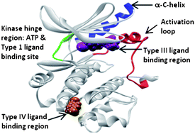 Graphical abstract: Approaches to discover non-ATP site kinase inhibitors