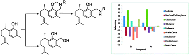 Graphical abstract: Mannich- and Lederer–Manasse-based analogues of the natural product S-(+)-curcuphenol as cancer proliferation and migration inhibitors