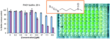 Graphical abstract: Sulforaphane and erucin, natural isothiocyanates from broccoli, inhibit bacterial quorum sensing