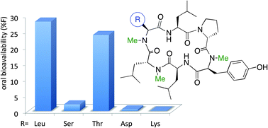 Graphical abstract: Optimizing PK properties of cyclic peptides: the effect of side chain substitutions on permeability and clearance