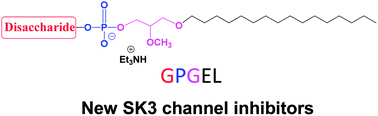 Graphical abstract: Glyco-Phospho-Glycero Ether Lipids (GPGEL): synthesis and evaluation as small conductance Ca2+-activated K+ channel (SK3) inhibitors