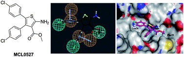 Graphical abstract: Identification of novel inhibitors of p53–MDM2 interaction facilitated by pharmacophore-based virtual screening combining molecular docking strategy