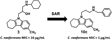 Graphical abstract: Structure–activity relationships of tetrahydrocarbazole derivatives as antifungal lead compounds