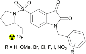 Graphical abstract: A new class of fluorinated 5-pyrrolidinylsulfonyl isatin caspase inhibitors for PET imaging of apoptosis