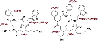 Graphical abstract: Synthesis and binding affinities for sst receptors of cyclic peptoid SRIF-mimetics