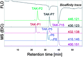 Graphical abstract: Combination of biotransformation by P450 BM3 mutants with on-line post-column bioaffinity and mass spectrometric profiling as a novel strategy to diversify and characterize p38α kinase inhibitors