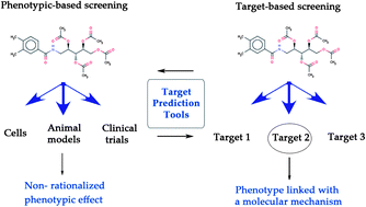Graphical abstract: Experimental validation of in silico target predictions on synergistic protein targets