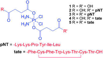 Graphical abstract: Synthesis and in vitro cytotoxicity of cis,cis,trans-diamminedichloridodisuccinatoplatinum(iv)–peptide bioconjugates